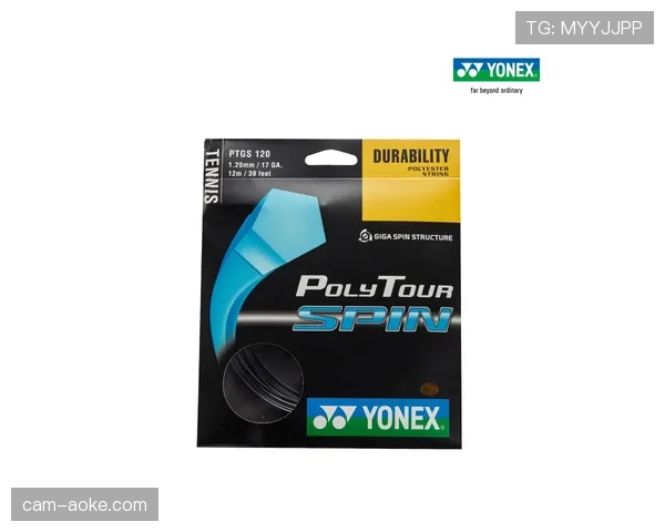 网球拍品牌Yonex 2025财年财报显示,欧美市场销售额增长显著 网球拍品牌Yonex 2025财年财报显示,欧美市场销售额增长显著